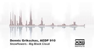 SAE Institute Köln - Dennis Grikschas - Big Black Cloud - Snowflowers