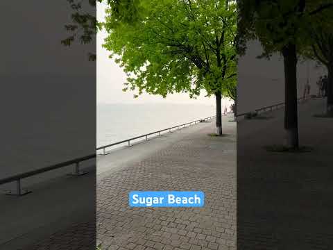 Walk At Sugar Beach Toronto 🏝️