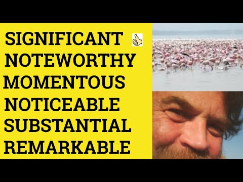 🔵 Significant Substantial Remarkable Momentous Noteworthy Noticeable -  Meaning - Example