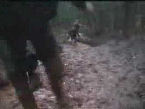 Royal Marines Training: Endurance Course