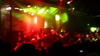 Canine - Senses Fail