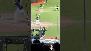 【Team Taiwan】#一粒 台湾VSチェコ交流試合(台灣捷克國際交流賽)@台北大巨蛋 20241103 #台湾チア #cheerdance #cheerleading  #teamtaiwan