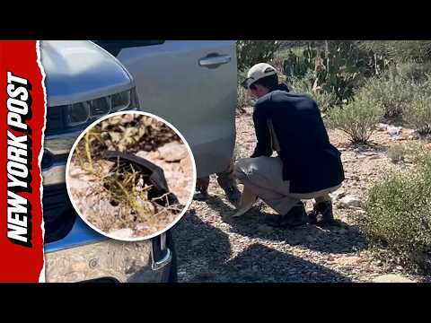 Investigators Find Black Glove During Hunt For Nancy Guthrie's Kidnappers