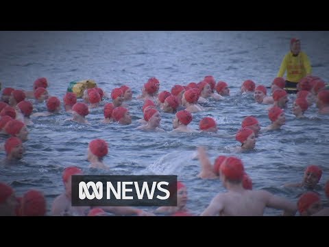 冬のヌードスイムでホバートのダークモフォ祭りが終了 (Nude winter swim ends Hobart's Dark Mofo festival)