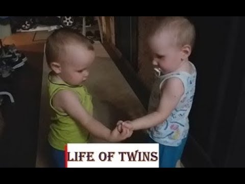Трейлер Life of twins