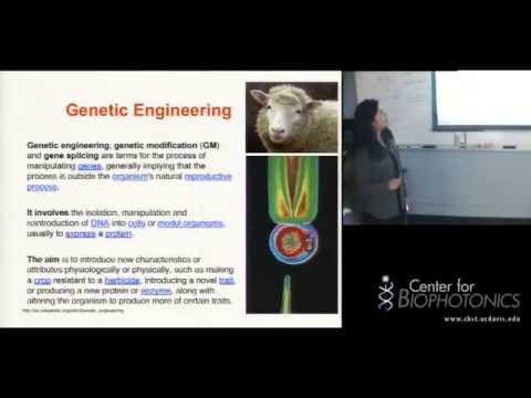 Basic Molecular Biology