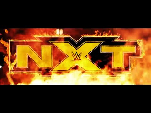 Post-NXT Fight-Size Update: Wale Joined The Street Profits, Tegan Nox, Triple H On Finn Balor, More
