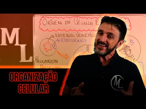 CÉLULAS EUCARIONTES X PROCARIONTES - DIFERENÇAS