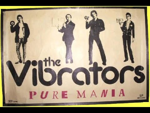 THE VIBRATORS  Live 1977