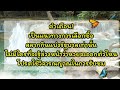 หวย