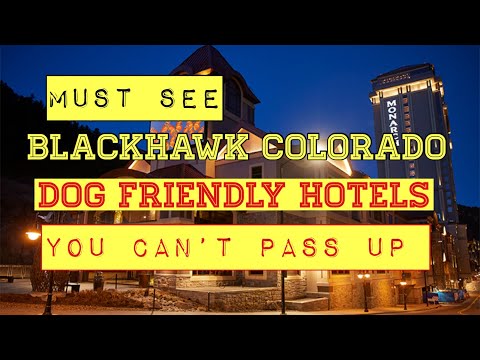 Blackhawk Colorado Amazing Dog Friendly Hotels