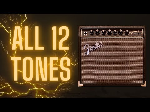 All 12 Fender Champion 20 Tones Back-To-Back!