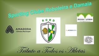 Portfolio e desempenho dos Atletas em 2017!