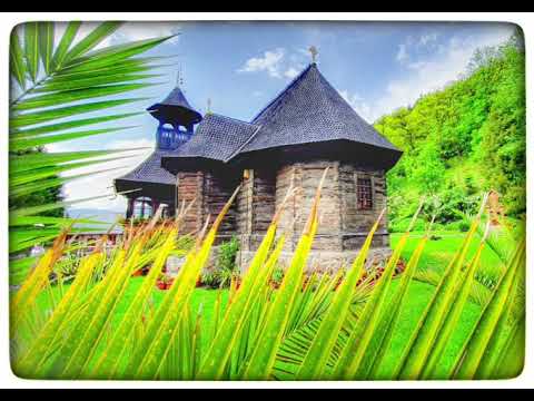 Vitamine duhovnicești-8-Părinte cum ne vindecăm de patima mâniei? #pilde #ortodox #orthodox