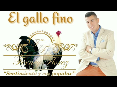 El Gallo Fino | Ferney Florez | (Lyric).