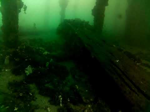 Edithburgh Live by AusOcean 09/05/2023