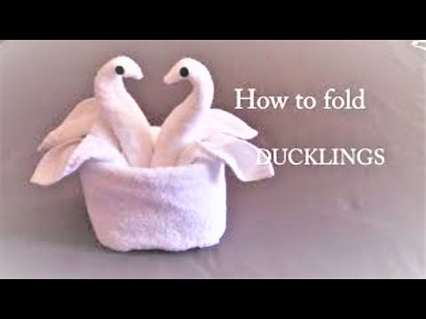 Towel Swan Folding | Towel Animal | Towel Duck | Towel Art in Housekeeping | Towel Origami |