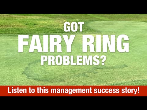 2 Minute Turf Talk - Got Fairy Rings?  Listen to this management success story!