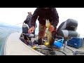 Video Thumbnail for Lots of Pike at Dore Lake Sak. part 1  #shorts #fishing #angler