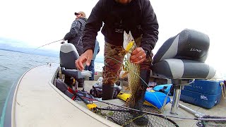 Lots of Pike at Dore Lake Sak. part 1  #shorts #fishing #angler