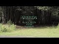 Seeds // Black Moth Super Rainbow