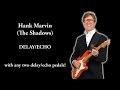 HANK MARVIN The Shadows Echo Delay: How To Get Using Two Any Delay Effect pedals