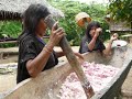 Las Mujeres Asheninka Haciendo Masato