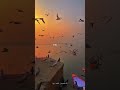 Falak Tak Chal Sath Mere Slowed Reverb Lyrics Falak Tak Song Shorts Lovesongs Songs