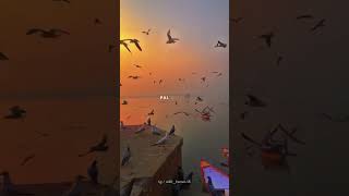 Download lagu Falak Tak Chal Sath Mere Slowed Reverb Lyrics 🌎 | Falak Tak Song #Shorts #Lovesongs #Songs mp3