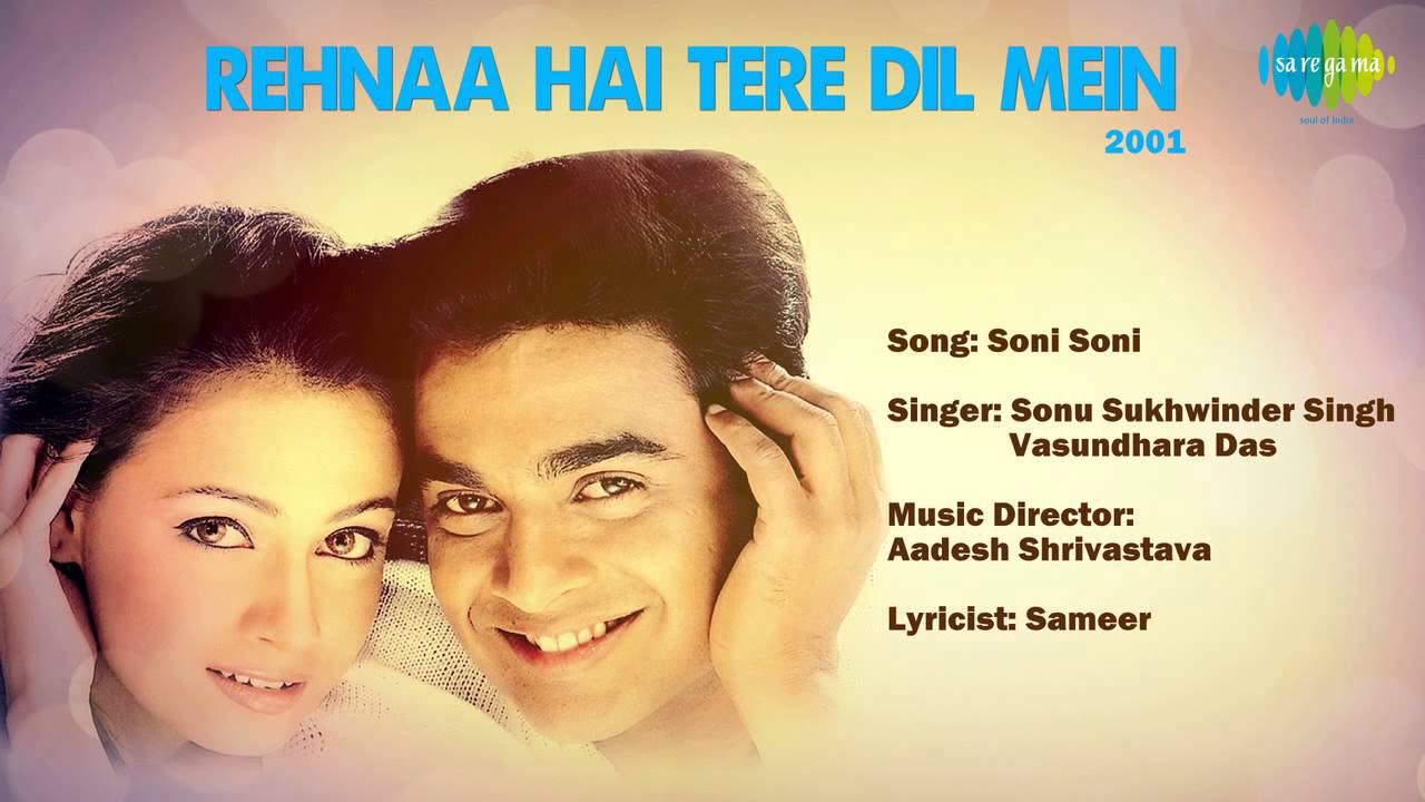 Soni Soni Lyrics | Rehnaa Hai Terre Dil Mein | Vasundhara Das, Sukhwinder Singh | Aadesh Shrivastava