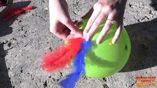 Twirly Bird AAC (look, up, down, tape) gameplay video by jwhite, 5:07 duration