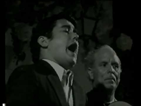 JOSÉ MENESE-DIEGO DEL GASTOR-TIENTOS-TANGOS-MONUMENTO AL CANTE - ALEGATO A FAVOR DE LA PUREZA