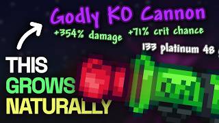 WHY were reforges so crazy in Terraria 1.4.5.7?