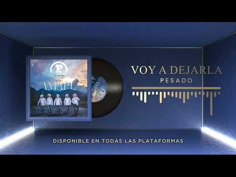 Miniatura de VOY A DEJARLA