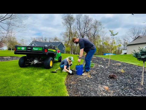 Digging & Edging a Garden Bed. Sweet Natey Came Out To Help! Took Way Less Time! ????????????