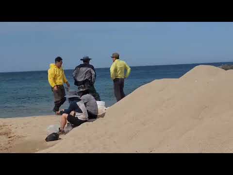 투망이 머길래 생고생을~cast net