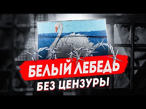 Белый Лебедь без цензуры: про самую жесткую тюрьму из первых уст | Соликамск