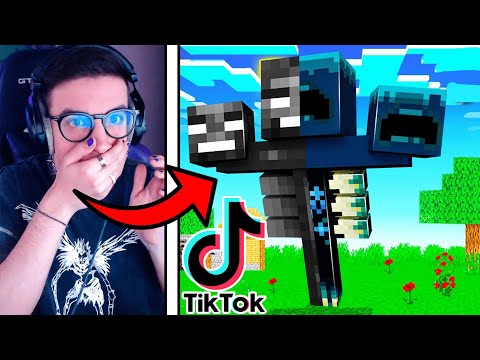 10 TIKTOK *VIRALI* DA USARE SU MINECRAFT 1.17!!