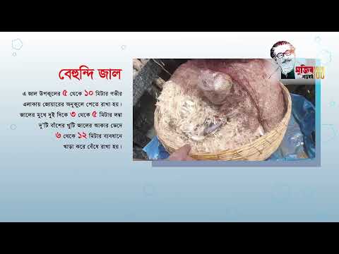 অবৈধ জাল নির্মূলে “ বিশেষ কম্বিং অপারেশন”