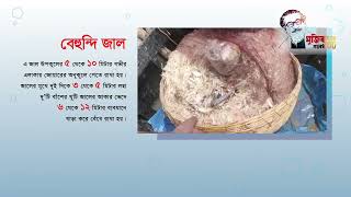 অবৈধ জাল নির্মূলে বিশেষ কোম্বিং অপারেশন