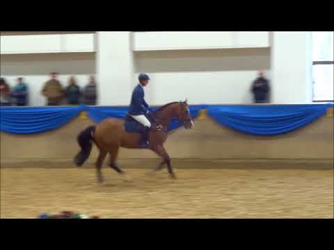 Caipirinha v.Cash and Carry-Lord Z, Mrz 18,  HV Schwaiganger