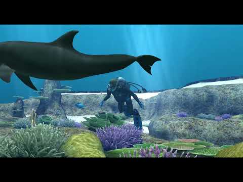 Endless Ocean (Wii) - Gameplay [4K 60FPS]