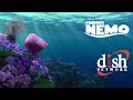 Opening To Finding Nemo On Dish On Demand 2003 2004