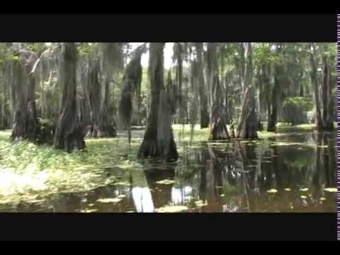 The Mysterious Caddo Lake