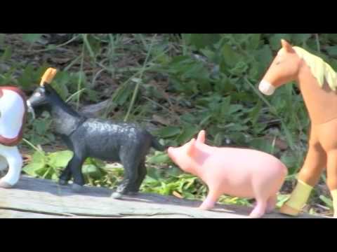 Slide 4 - Jumbo Jungle Animals: Mommas and Babies, Set of 6 (video)
