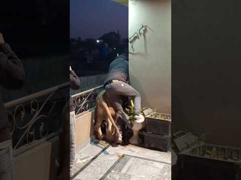 Episode 848: Lion attack on naughty boys 😂✌️🦁