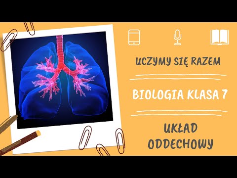 Biologia klasa 7. Układ oddechowy. Uczymy się razem