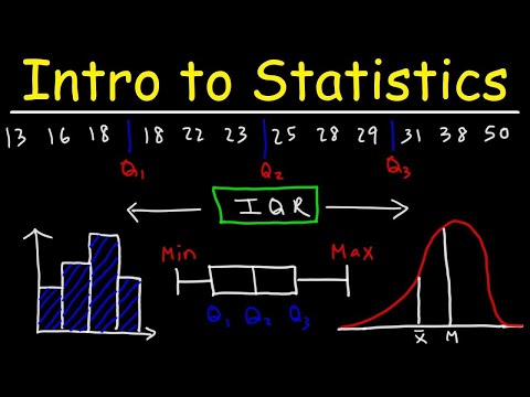 Introduction to Statistics Video