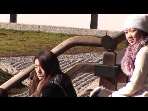 Tōfuku-ji temple and gardens, Kyoto, Japan travel video