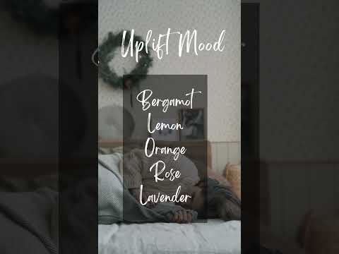 Liquid syzygium aromaticum clove leaf essential oil